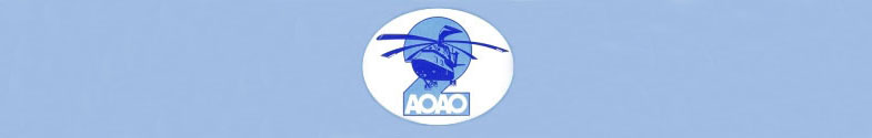 2-а Архангельский авиотряд Логотип(logo)