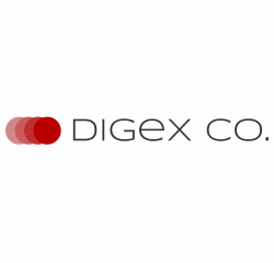 Логотип компании Digex Co.