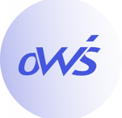 Логотип компании oWeb-Solutions