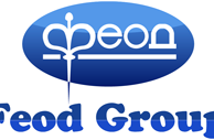 Агентство Feod Group Логотип(logo)