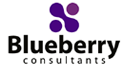 Логотип компании Blueberry