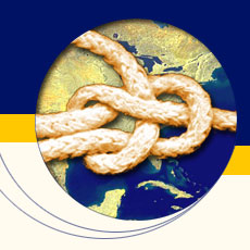Логотип компании Ардис-Круинг