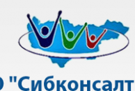 Логотип компании Сибконсалтинг