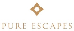 Pure Escapes Логотип(logo)