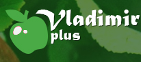 Владимир плюс Логотип(logo)