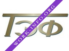 Логотип компании ЭЛЕКТРОФИЗИКА