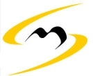 Metasoft Логотип(logo)