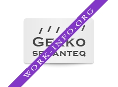 Логотип компании Студия Gekko Semanteq
