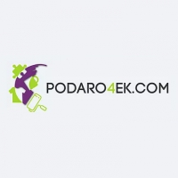 Логотип компании Podaro4ek.com