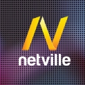 Веб студия Netville Логотип(logo)