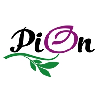 Логотип компании Интернет-гипермаркет PION