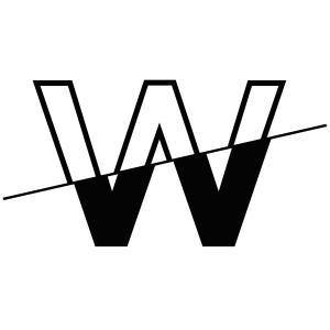 Логотип компании WIBE Team