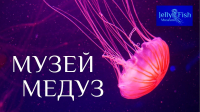 Логотип компании Музей медуз