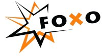 Интернет-магазин Foxo Логотип(logo)