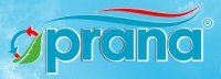 Логотип компании Prana