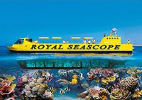 Логотип компании Royal Seascope