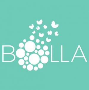 Сеть химчисток BOLLA Логотип(logo)