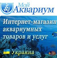 Интернет-магазин Мой аквариум Логотип(logo)