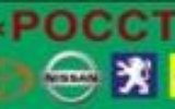 Логотип компании СТО РОССТ СТО, Киев
