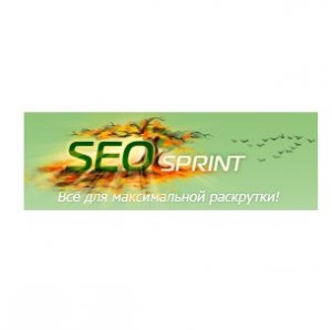 Логотип компании seosprint.net