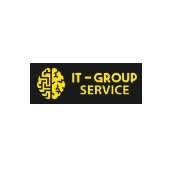 Логотип компании it-group.net.ua сервисный центр