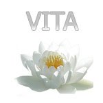 Клиника VITA Логотип(logo)