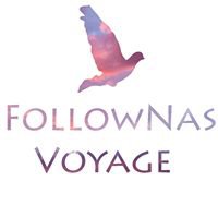 Компания FollownasVoyage Логотип(logo)