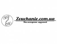 Логотип компании Zvuchanie интернет-магазин