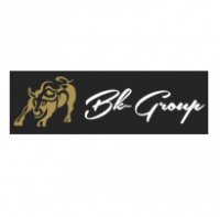 Компания BkGroup Логотип(logo)
