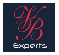 Юридическая компания VB Experts Логотип(logo)