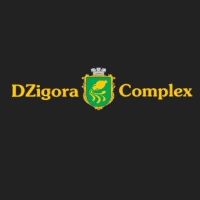 Логотип компании СТО DZigora Complex