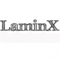 Логотип компании Laminx магазин напольного покрытия