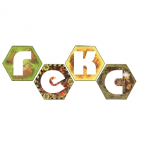 Логотип компании Интернет-магазин настольных игр Гекс