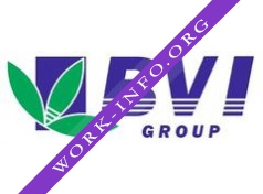 БиВиАй групп Логотип(logo)
