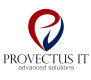 Логотип компании Provectus IT