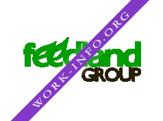 Фидлэнд Групп Логотип(logo)