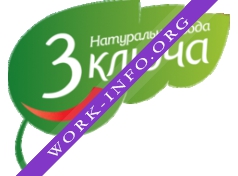 3 ключа Логотип(logo)