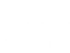 АНИС ФУД / АНИС ПРИНТ (AZIZ BUXORO) Логотип(logo)
