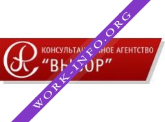 Агентство ВЫБО? (ИП Суслопаров Р.Л.) Логотип(logo)