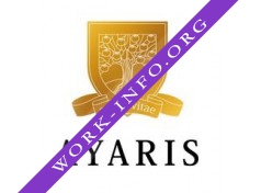 AYARIS Логотип(logo)