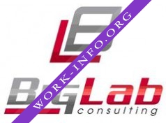 Big Lab Consulting Логотип(logo)