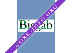 Biggab Логотип(logo)