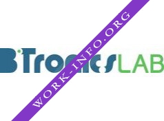 BiTronics Lab Логотип(logo)