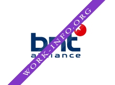 BNT Alliance Логотип(logo)