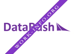 DataRush Логотип(logo)