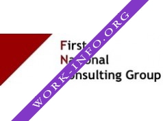 First National Consulting Group Логотип(logo)