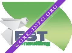 FST Consulting Логотип(logo)
