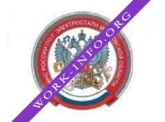 ИФНС России по г. Электростали Московской области Логотип(logo)