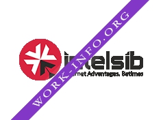 Intelsib Company Логотип(logo)