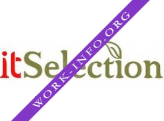 IT_Selection Логотип(logo)